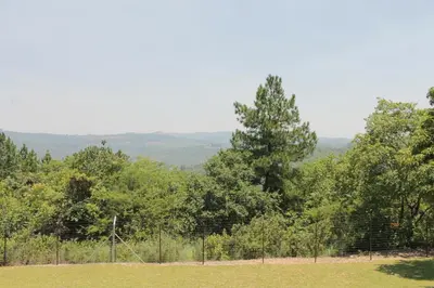a fence in a field with trees in the background at Cuckoo Ridge Country Retreat in Hazyview