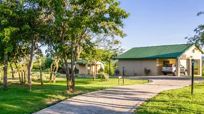 a driveway leading to a house with a green roof at Cuckoo Ridge Country Retreat in Hazyview