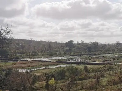 a train traveling through a field next to a river at Crocodile Bend in Mpakeni