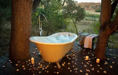 a bath tub sitting on a deck next to a tree at Pondoro Game Lodge in Balule Game Reserve