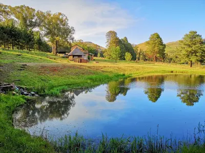 a pond in a field with a house in the background at Stonecutters Lodge in Dullstroom