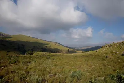 a field of grass with hills in the background at Stonecutters Lodge in Dullstroom
