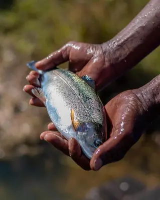 a person holding a fish in their hands at Stonecutters Lodge in Dullstroom