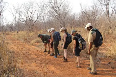 Gallery image of Kingfisher Creek Safari Lodge in Hoedspruit