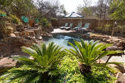 a swimming pool with two chairs and palm trees at Blyde River Canyon Lodge in Hoedspruit