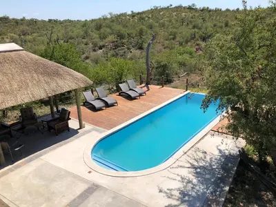 a swimming pool with chairs and a thatch roof at Lengau Lodge in Grietjie Nature Reserve
