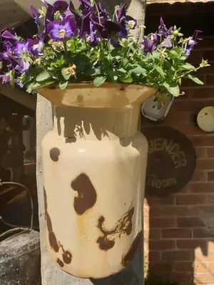 a flower pot with purple flowers in it at The Yardt Guest House in Trichardt