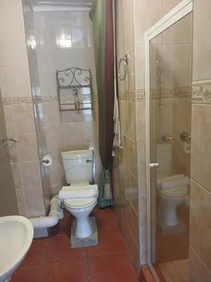 a bathroom with a toilet and a shower and a sink at The Yardt Guest House in Trichardt