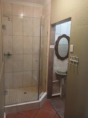 a bathroom with a shower with a sink and a mirror at The Yardt Guest House in Trichardt