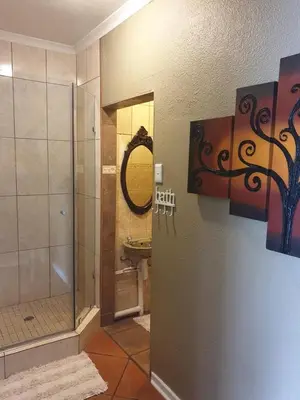a bathroom with a shower and a sink and a mirror at The Yardt Guest House in Trichardt