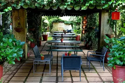 an outdoor patio with tables and chairs and plants at Silver Mist Guest House, Country Inn and Herberg in Kaapsehoop