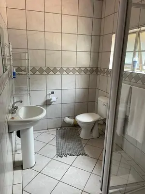 a bathroom with a sink and a toilet at The Wild Peach - Menlyn in Pretoria