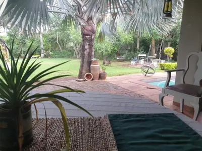a patio with a palm tree and a pool at Kruger Allo B&B in Komatipoort