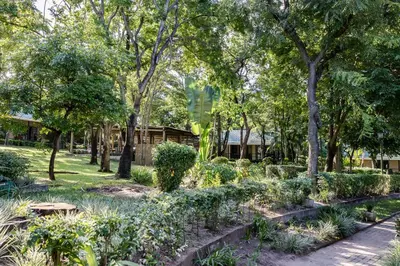 a garden with plants and trees and a building at Perry's Bridge Hollow Boutique Hotel in Hazyview