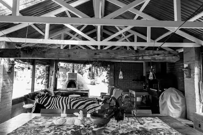 a living room with a zebra laying on a couch at Town and Country Mpumalanga in Middelburg