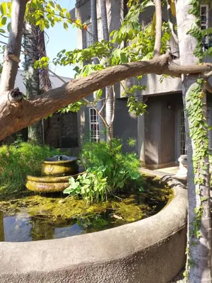a pond in front of a building with a tree at Belvedere-on-River in Malelane
