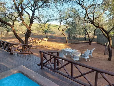a deck with a table and chairs and some animals at Khumbula iAfrica 1 in Marloth Park