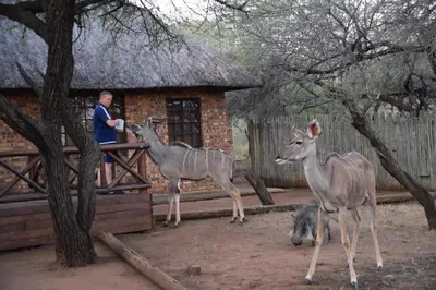 a man standing next to two deer in front of a building at Khumbula iAfrica 1 in Marloth Park