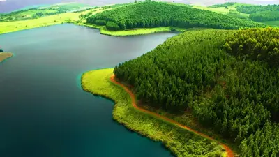 an aerial view of a lake with trees and water at Stanford Lake lodge in Haenertsburg