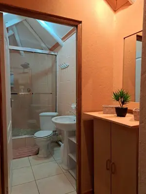 a bathroom with a toilet and a sink and a shower at La Frans Guesthouse in Pretoria
