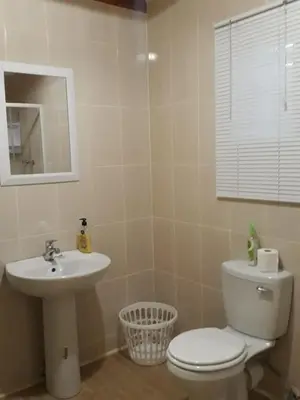 a bathroom with a toilet and a sink at La Frans Guesthouse in Pretoria