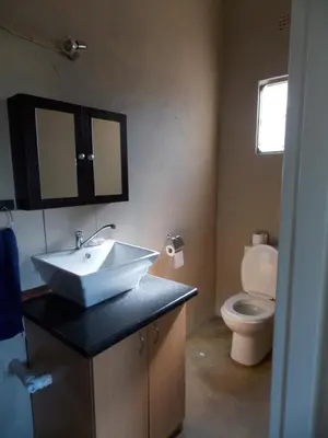 a bathroom with a sink and a toilet at Leopard Tree Retreat in Nelspruit