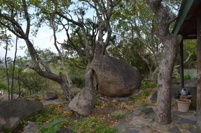 a large rock sitting next to a tree at Leopard Tree Retreat in Nelspruit