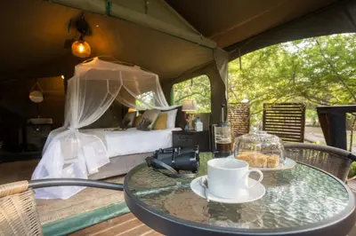 a table with a cup of coffee and a bed at Camp Bethel in Hoedspruit