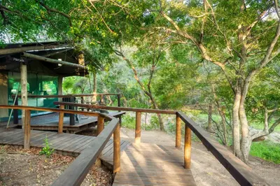 a wooden walkway leading to a cabin in the woods at Camp Bethel in Hoedspruit