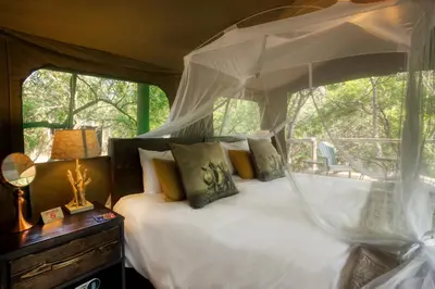 a bedroom with a canopy bed in a tent at Camp Bethel in Hoedspruit