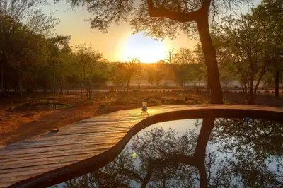 a wooden walkway with a tree and the sunset at Mvuradona Safari Lodge in Marloth Park