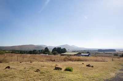 a field with some animals in the grass at Spitskop Plaashuis in Lydenburg