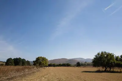 a dirt road in a field with mountains in the background at Spitskop Plaashuis in Lydenburg