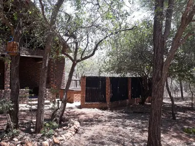 a brick house with a fence and trees at African Sky in Marloth Park