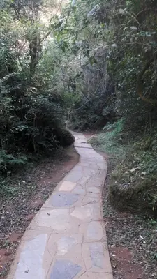 a stone path in the middle of a forest at Tehilah in Sabie
