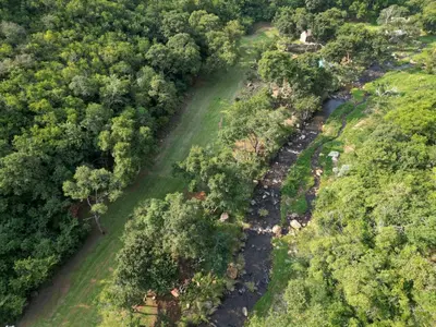 an aerial view of a river with trees at Rocky Drift Private Nature Reserve in Waterval Boven