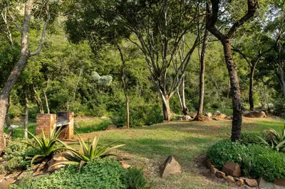 a park with trees and green grass and plants at Rocky Drift Private Nature Reserve in Waterval Boven