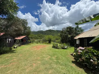 a view of the yard of a house at Sabie Gypsy's Backpackers in Sabie
