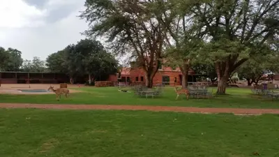 two animals standing in the grass in a park at Sondela Nature Reserve & Spa Makhato Lodges in Bela-Bela
