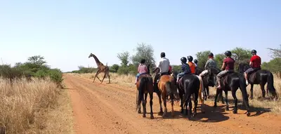 a group of people riding horses on a dirt road with a giraffe at Sondela Nature Reserve & Spa Chalets in Bela-Bela