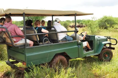 a group of people riding in a green jeep at Sondela Nature Reserve & Spa Chalets in Bela-Bela