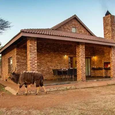 Sondela Nature Reserve & Spa Chalets