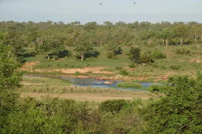 a river in the middle of a field with trees at Marloth Park Hippo House in Marloth Park