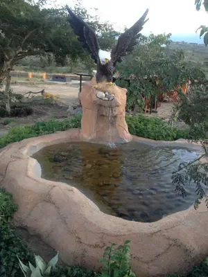 a statue of an eagle sitting on top of a pond at Rhurhy Guest House in Acornhoek