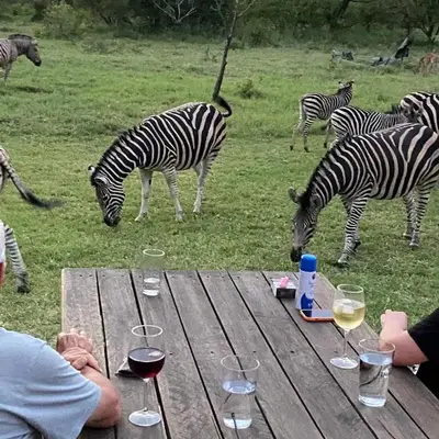 Sunset Lodge & Safaris