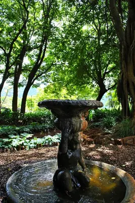 a bird bath in the middle of a garden at Mount Azimbo Lodge in Louis Trichardt
