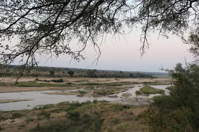 a river in the middle of a field at Hakuna Matata in Marloth Park