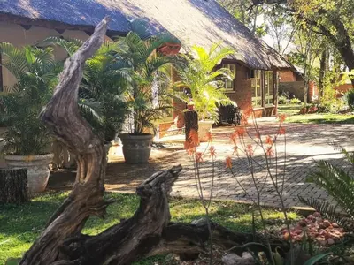 a house with a tree stump in front of it at Stay@Sparks Guesthouse in Lephalale