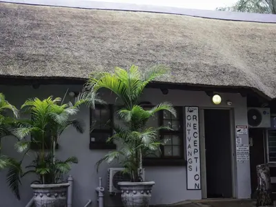 a house with two palm trees in front of it at Stay@Sparks Guesthouse in Lephalale