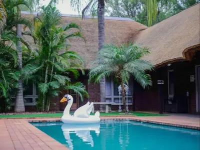 a swan in a swimming pool in front of a house at Stay@Sparks Guesthouse in Lephalale